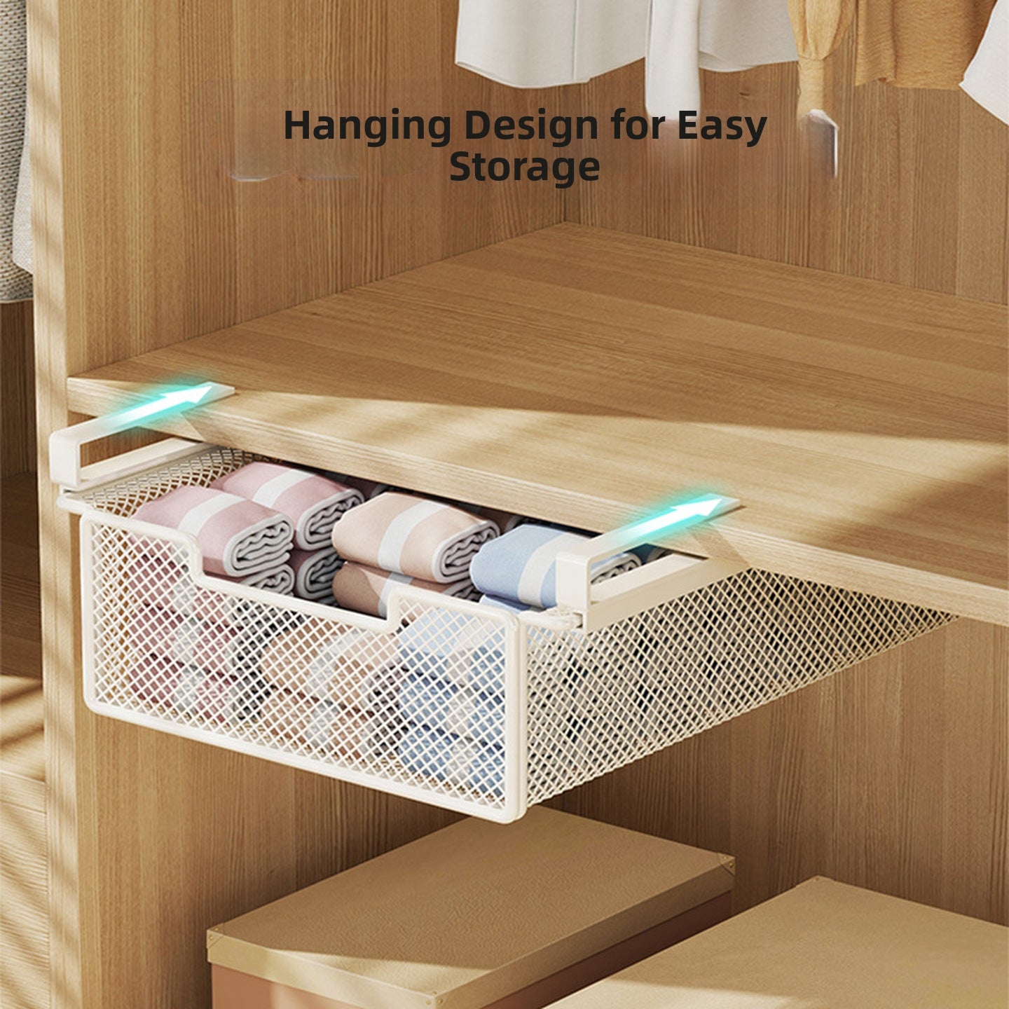 Sliding Underwear Hanging Organizer