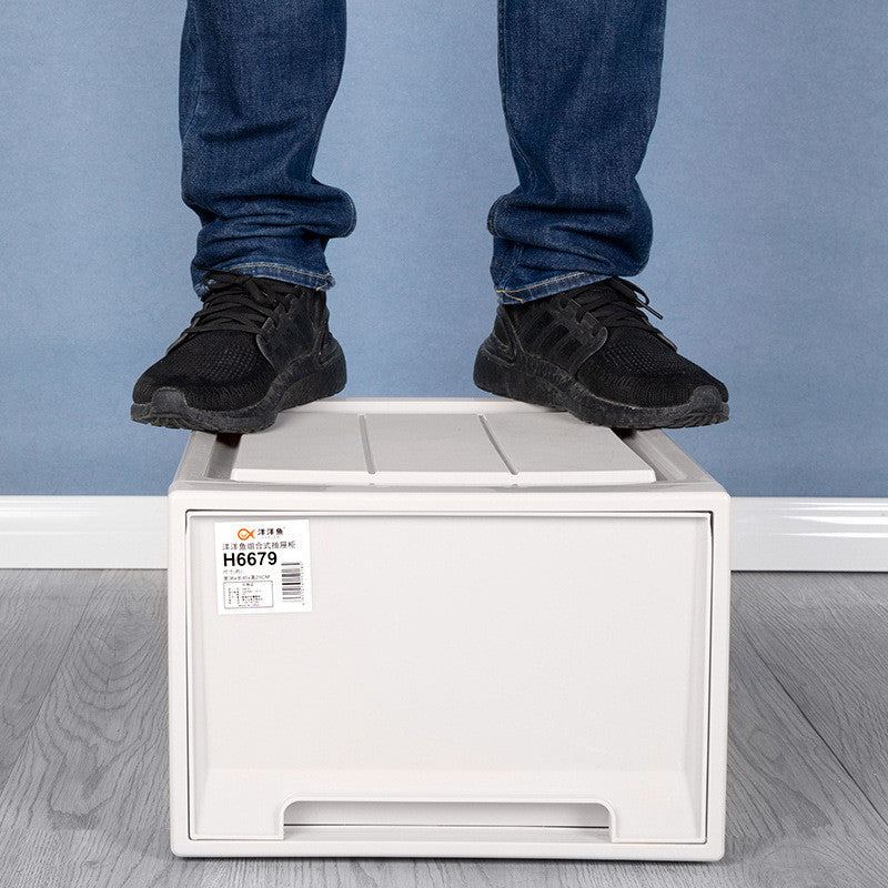 Drawer Plastic Clothes Storage Box